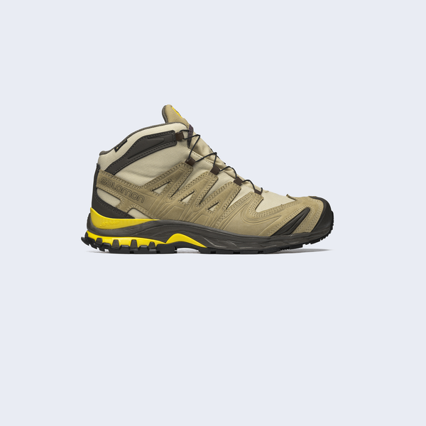 Salomon XA PRO 3D MID GTX For BGS 5 PM