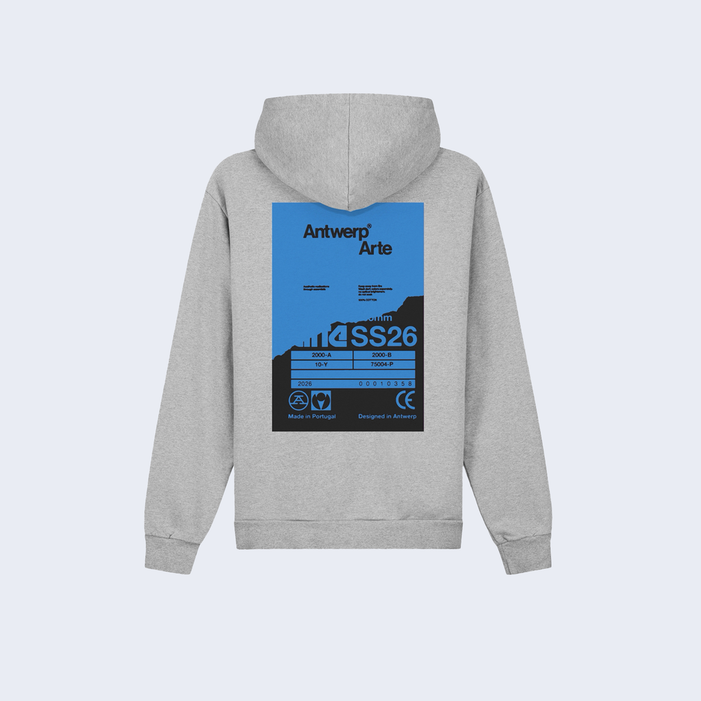 Back Poster Hoodie Grey