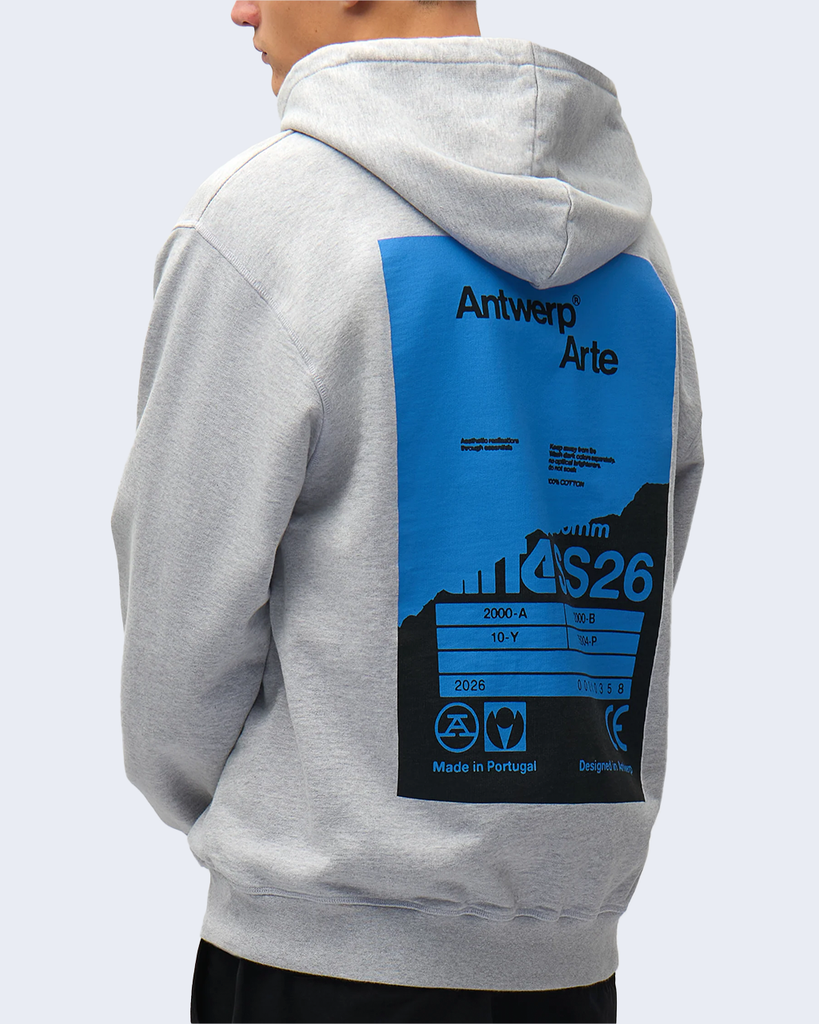 Back Poster Hoodie Grey