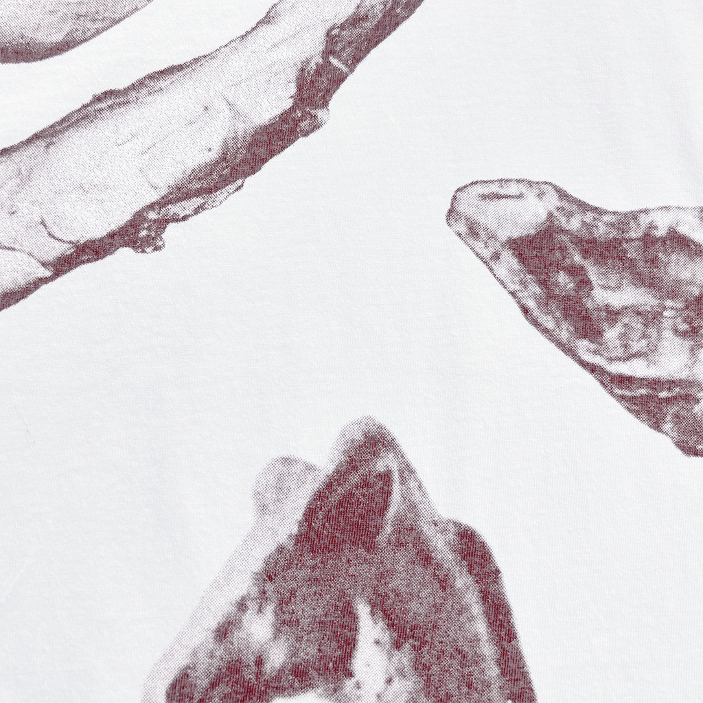 Artifacts Tee White