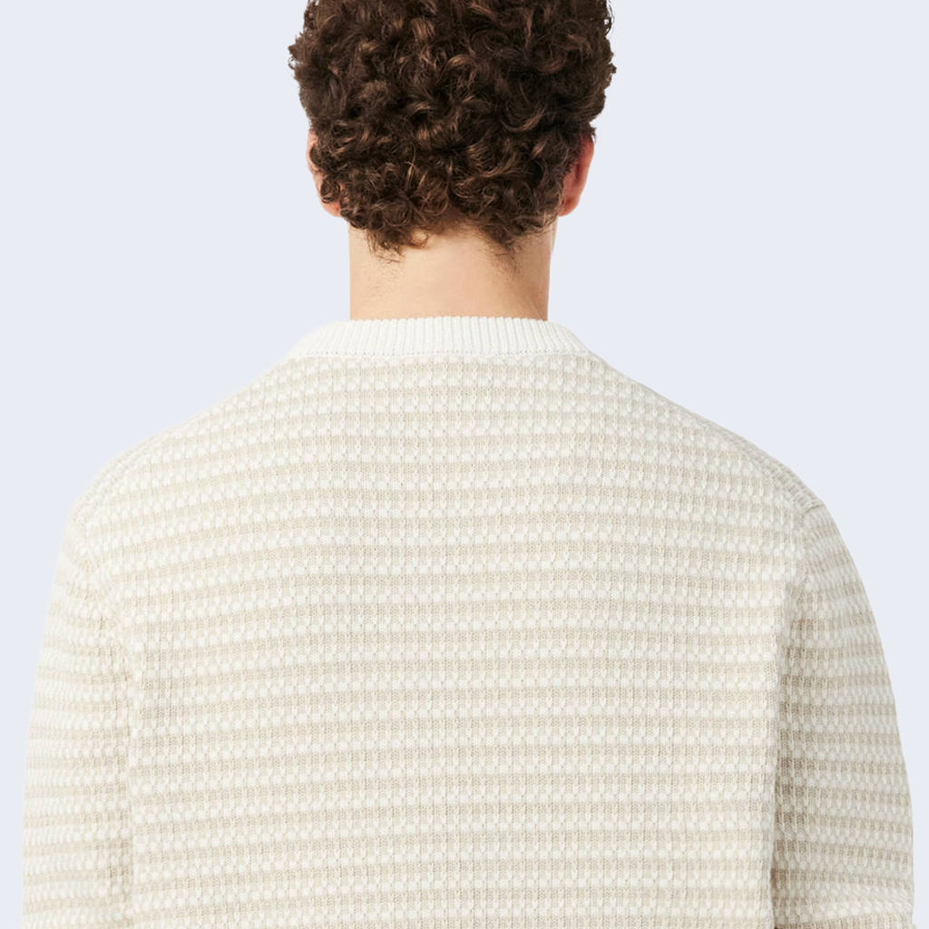 Striped Cotton Sweater Beige / Light Gray / White