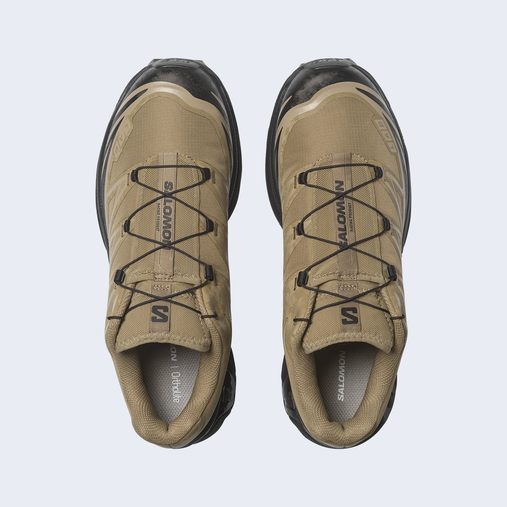 XT-6 PROTECTIVE Aloe / Black / Silver Sage