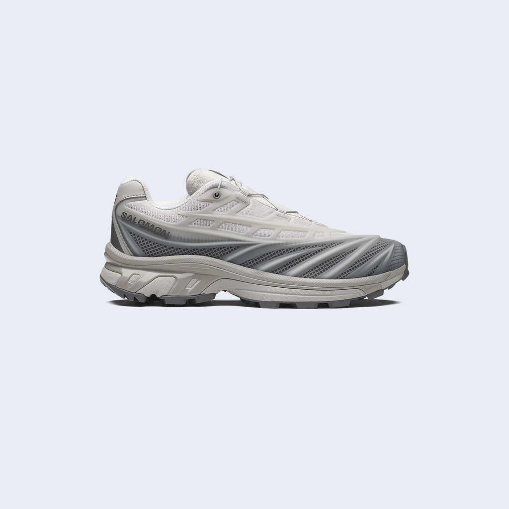 XT-EVO Alloy / Castlerock / Ftw Silver