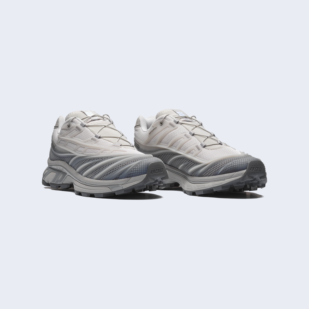 XT-EVO Alloy / Castlerock / Ftw Silver