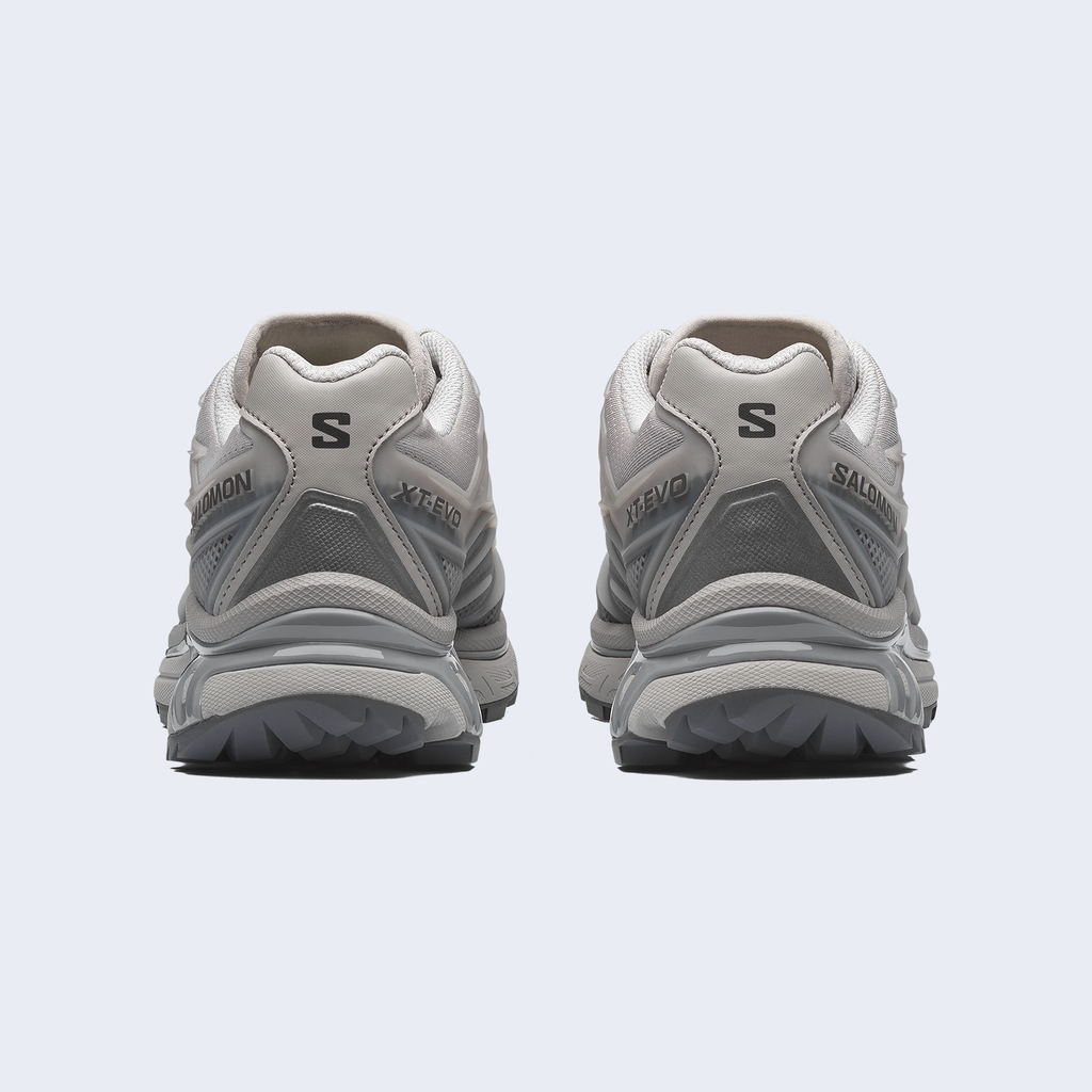 XT-EVO Alloy / Castlerock / Ftw Silver