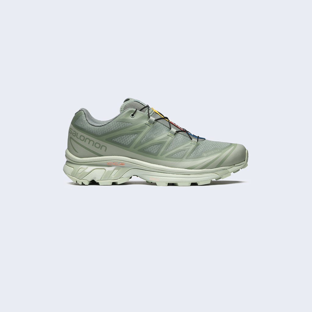 XT-6 GTX Laurel Wreath / Lily Pad / Desert Sage